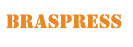 Braspress Transportes Urgentes logo
