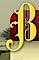 Braswell Family Senior Care logo