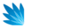 Bravium logo