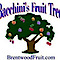 Bacchini''s Fruit Tree logo