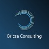 Bricsa Consulting logo