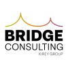 Bridge Consulting logo