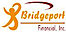 Bridgeport Financial logo