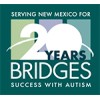 Bridges logo