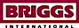 Briggs International logo