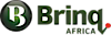 Brinq Africa logo