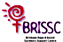 Brisbane Rape & Incest Survivors Support logo