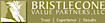 Bristlecone Value Partners logo