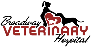 Broadway Veterinary Hospital logo