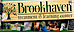 Brookhaven Treatment and Learning Center logo