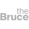 Bruce Museum logo