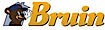 Bruin logo