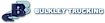 Bulkley Associates logo