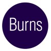 Burns & Levinson logo