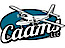 CAAMS,llc logo