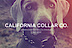 California Collar logo