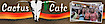 Cactus Cafe of Stowe logo