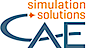 CAE Simulation & Solutions logo