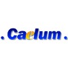 Caelum Research logo