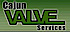 Cajun Valve Services logo