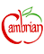 Cambrian School District logo