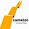 Camelot Consulting Group logo