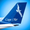 Cape Air logo