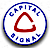 Capital Signal logo