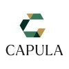 Capula Investment Management logo