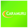 Caramuru Alimentos logo