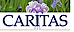 Caritas Center logo