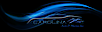 Carolina Auto & Marine logo