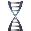 Carolina BioOncology Institute logo