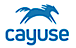 Cayuse logo