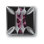 CC Custom Coatings & Graphics logo