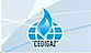 Cedigaz logo