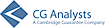 Cg Analysts logo