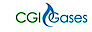 C G I International logo