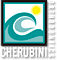 Cherubini Orthodontics logo