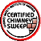 Chicago Chimney logo