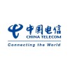 China Telecom Global logo