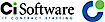 C.I. Software Associates logo