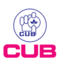 Cubexellence logo