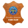 Csir logo