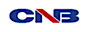 CNB Technology USA logo