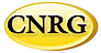 Central Network Retail Group logo