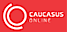 Caucasus Online logo