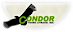 Condor Tours And Travel logo