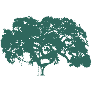 Conejo Valley Unified School District logo