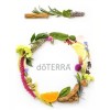 Doterra logo